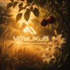 Pochette ViTaLiKuS - Когда волнуется желтеющая нива ViTaLiKuS - Когда волнуется желтеющая нива