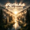 Pochette ViTaLiKuS - К моей Родинe ViTaLiKuS - К моей Родинe