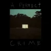 Pochette Kovacs - A Perfect Crime Kovacs - A Perfect Crime