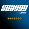 Pochette Shaggy & Jeremih - Lottery Shaggy & Jeremih - Lottery