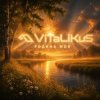 Pochette ViTaLiKuS - Родина моя ViTaLiKuS - Родина моя