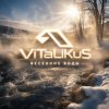 Pochette ViTaLiKuS - Весенние воды ViTaLiKuS - Весенние воды