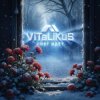 Pochette ViTaLiKuS - Снег идёт ViTaLiKuS - Снег идёт