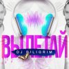 Pochette DJ Piligrim - Вылетай DJ Piligrim - Вылетай