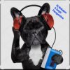 Pochette Dj Bobojon - A Dog's Perspective Dj Bobojon - A Dog's Perspective