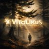 Pochette ViTaLiKuS - Ель рукавом мне тропинку завесила… ViTaLiKuS - Ель рукавом мне тропинку завесила…