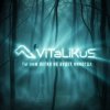 Pochette ViTaLiKuS - Нам легко не будет никогда ViTaLiKuS - Нам легко не будет никогда
