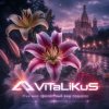 Pochette ViTaLiKuS - Мне мил прелестный ваш подарок ViTaLiKuS - Мне мил прелестный ваш подарок