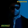 Pochette Shaggy & Rayvon - In The Name of Love Shaggy & Rayvon - In The Name of Love