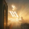 Pochette ViTaLiKuS - Средь праздного людского шума… ViTaLiKuS - Средь праздного людского шума…