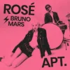 Pochette ROSÉ & Bruno Mars - APT (DJ XAN Remix) ROSÉ & Bruno Mars - APT (DJ XAN Remix)