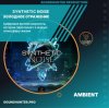 Pochette Synthetic Noise - Холодное отражение Synthetic Noise - Холодное отражение