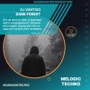 Pochette DJ VANTIGO - Dark Forest DJ VANTIGO - Dark Forest