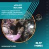 Pochette VasileFF - Hold Me VasileFF - Hold Me