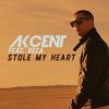 Pochette Akcent feat. Reea - Stole My Heart Akcent feat. Reea - Stole My Heart