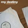 Pochette Delinquent & KCAT & Mike Delinquent Project - My Destiny (Slowed) Delinquent & KCAT & Mike Delinquent Project - My Destiny (Slowed)