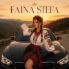 Pochette Faina Stefa - Крути мене у тачці! Faina Stefa - Крути мене у тачці!