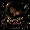 Pochette R3phase - Кароока Моя R3phase - Кароока Моя