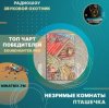 Pochette Незримые Комнаты - Пташечка Незримые Комнаты - Пташечка