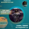 Pochette LOONA, TEMOFF - На ладонях 2.0 LOONA, TEMOFF - На ладонях 2.0