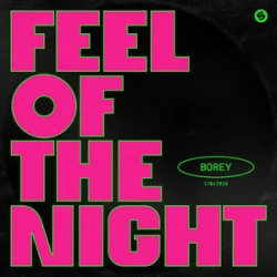 Pochette Borey - Feel Of The Night