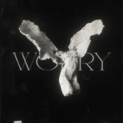 Pochette LONOWN & riserayss - worry (Slowed)