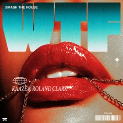 Pochette KAAZE & Roland Clark - WTF