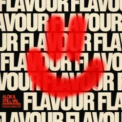 Pochette Alok & Still Val - Flavour