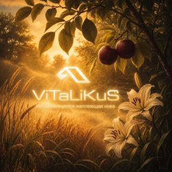 Pochette ViTaLiKuS - Когда волнуется желтеющая нива