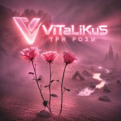 Pochette ViTaLiKuS - Три розы