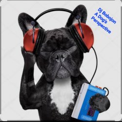 Pochette Dj Bobojon - A Dog's Perspective