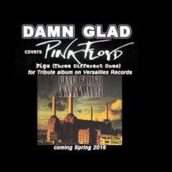 Pochette DAMN GLAD - Pigs