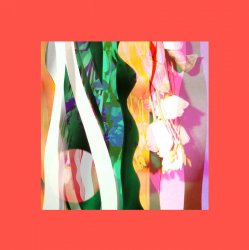 Pochette Out Of Phase - The Thin Ice