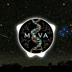 Pochette AI MOVA - Остання ніч