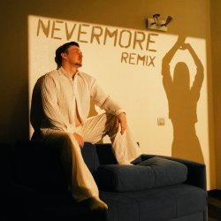 Pochette der Flaum - nevermore (remix)