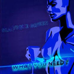 Pochette Slavique Green - Need U
