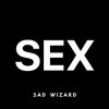 Pochette Sad Wizard - SEX Sad Wizard - SEX