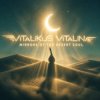 ViTaLiKuS - Mirrors of the Desert Soul