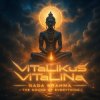 Pochette ViTaLiKuS - Nada Brahma - The Sound of Everything ViTaLiKuS - Nada Brahma - The Sound of Everything