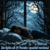 zaevsergey - Не буди её (T Vocals : special version)