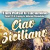 Pochette Tom Pulse, Lucamino, C.R. Easy, Silvio Piseddu - Ciao Siciliano Tom Pulse, Lucamino, C.R. Easy, Silvio Piseddu - Ciao Siciliano