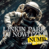Linkin Park - Numb (DJ Nowitzki Remix 2026) (Cover by Nadeya)