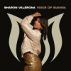Pochette Aurosonic & Sharon Valerona - Horizon (Extended Mix) Aurosonic & Sharon Valerona - Horizon (Extended Mix)