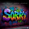 Pochette DJ Wout x Jan Vervloet x Pulsedriver - I'm Sorry DJ Wout x Jan Vervloet x Pulsedriver - I'm Sorry
