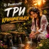 Pochette Dj Bashkirofff - Три криниченьки Dj Bashkirofff - Три криниченьки