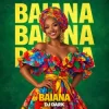 Pochette Dj Dark - Baiana Dj Dark - Baiana