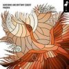 Pochette Aurosonic & Brittany Egbert - Phoenix (Original Mix) Aurosonic & Brittany Egbert - Phoenix (Original Mix)