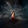 Noémi Büchi - The cryptic precision