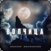 Pochette Виктор Могилатов - Волчица Виктор Могилатов - Волчица