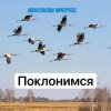 Pochette Анастасия Иркутск - Поклонимся Анастасия Иркутск - Поклонимся